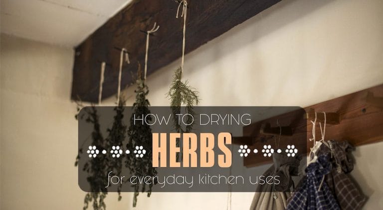 How to Dry Herbs Like Oregano & Chives at Home